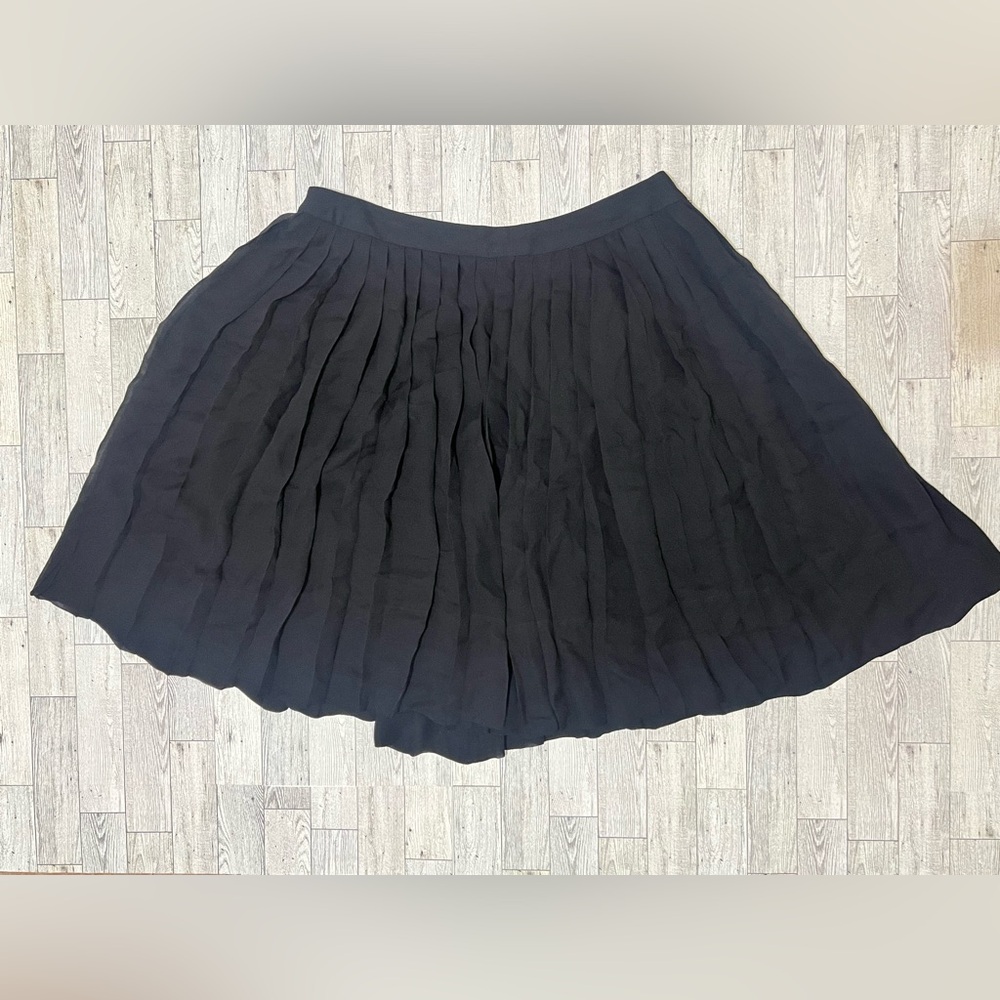 Size 12, Black, Silk Lined, Pleated Knee Length Skirt